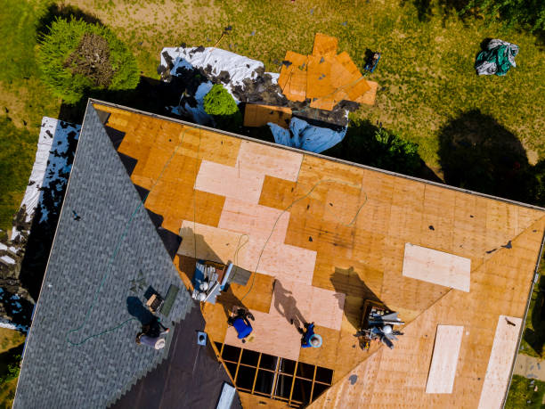 Best Roof Maintenance Services  in Upper Exeter, PA